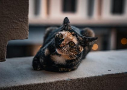 free duffle bag patterns to download pdf