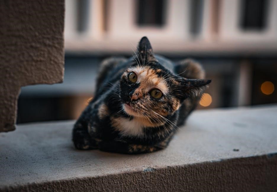 free duffle bag patterns to download pdf